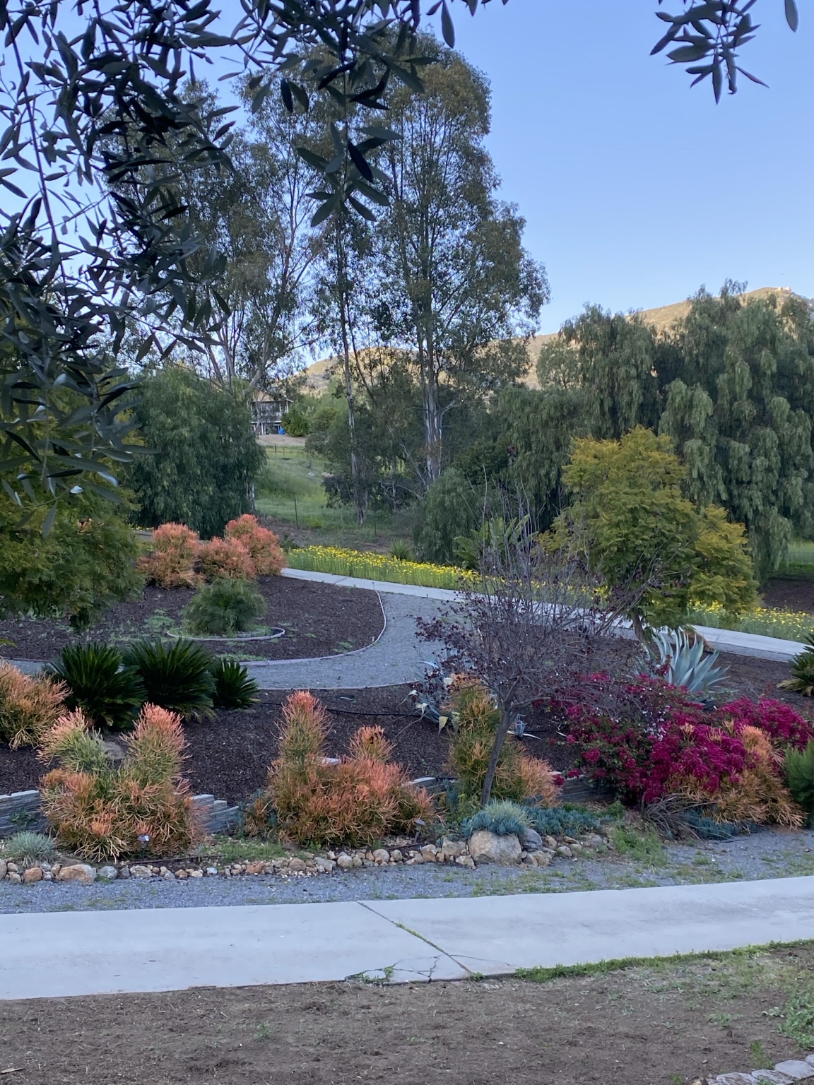East County landscaped surroundings